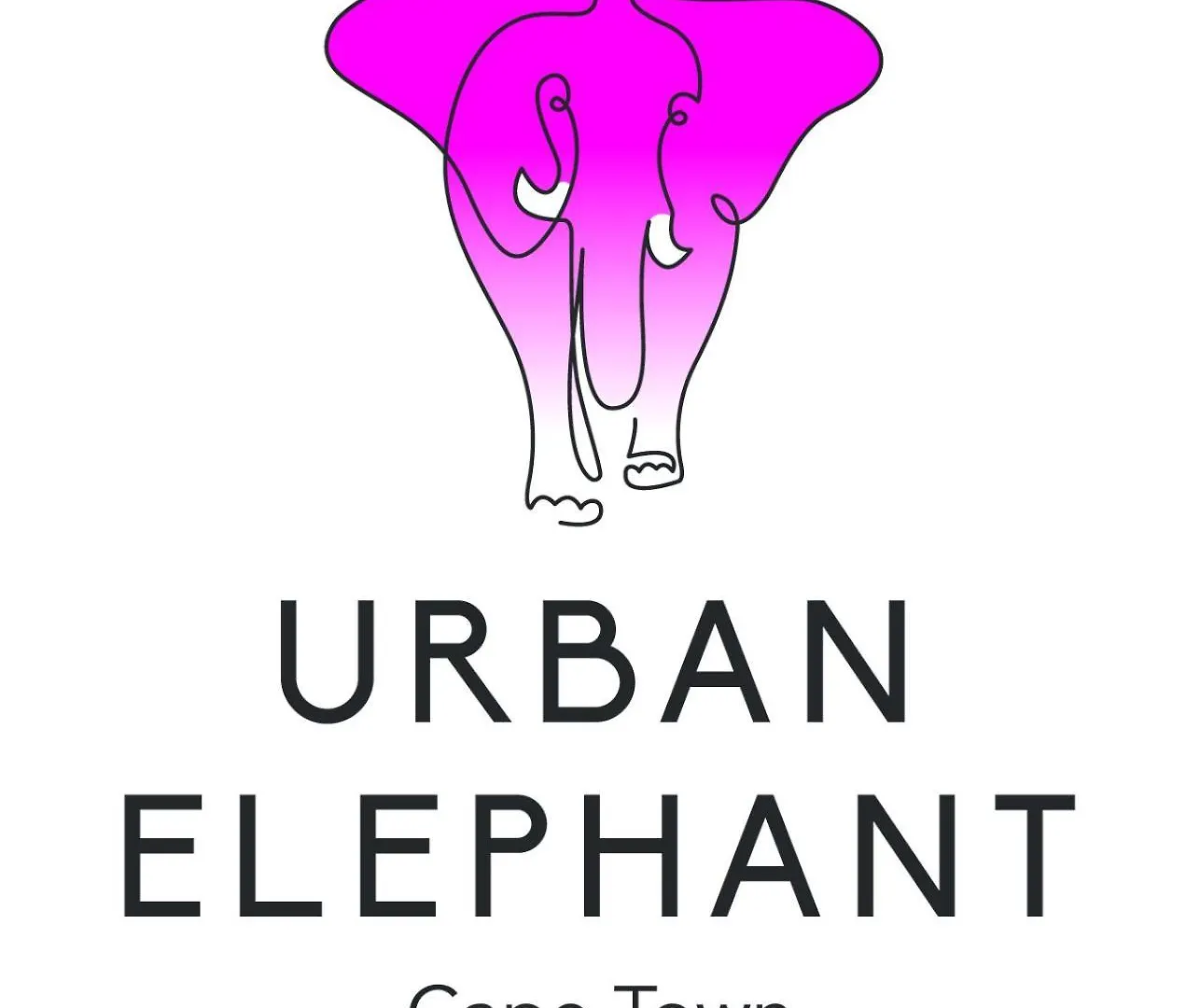 Urban Elephant. The Docklands Cape Town